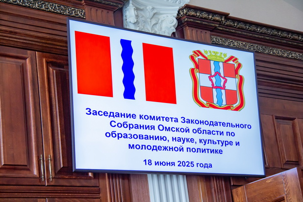 Профильный комитет рассмотрел законопроект о патриотическом воспитании в Омской области