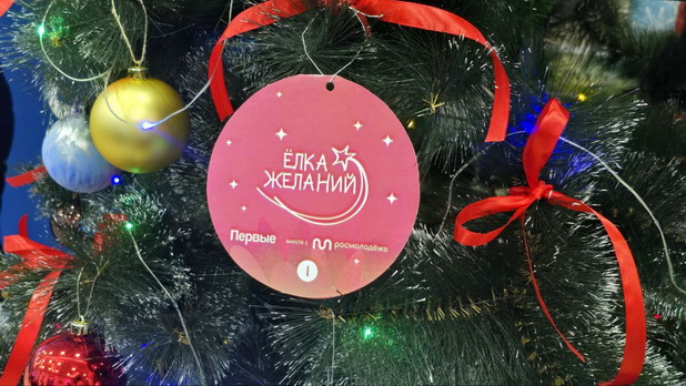 Спикер и депутаты вручили подарки детям в рамках новогодней акции "Елка желаний"