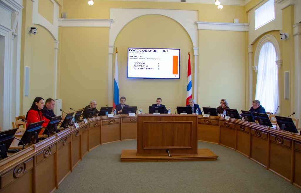 Профильный комитет рассмотрел вопросы оказания медицинской помощи